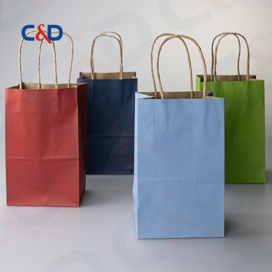 COLOR PRINTED KRAFT PAPER RECYCLED SHOPPING PAPER BAG WITH TWISTED HANDLE - C&D PAPER PACKAGING